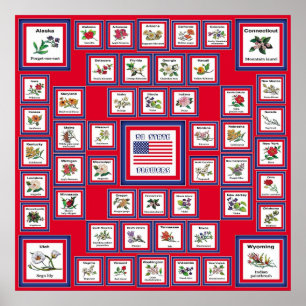 POSTER USA 50 FLEURS D'ÉTAT ROUGE/560