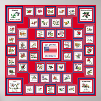 POSTER USA 50 FLEURS D'ÉTAT ROUGE/560