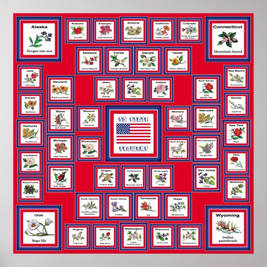 POSTER USA 50 FLEURS D'ÉTAT ROUGE/560 (Devant)