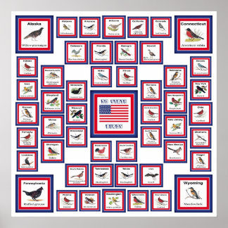 POSTER USA 50 OISEAUX D'ÉTAT BLANC/553
