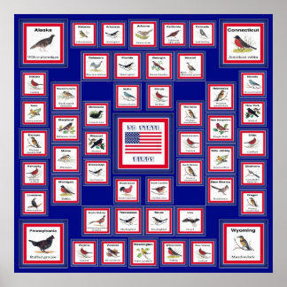 POSTER USA 50 STATE BIRDS BLUE/552