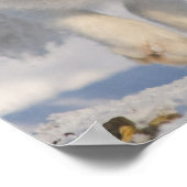 Poster USA, Alaska, 1002 Plaine côtière de l'ANWR. A 3 (Coin)