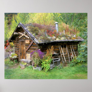 Poster USA, Alaska, Denali National Park, Kantishna.