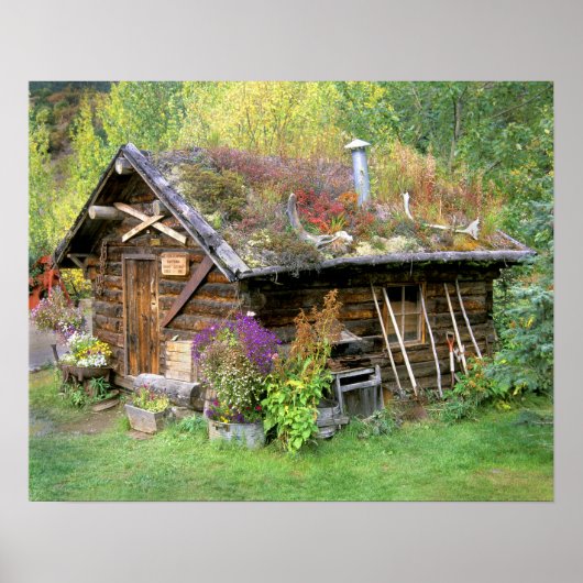 Poster USA, Alaska, Denali National Park, Kantishna. (Devant)