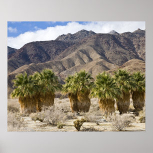 Poster USA, Californie, Anza-Borrego Desert State Park.