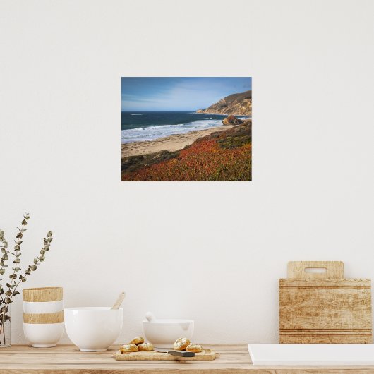 Poster USA, Californie, Big Sur, plantes rouges par plage (Cuisine)