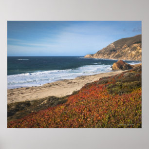 Poster USA, Californie, Big Sur, plantes rouges par plage