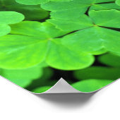 Poster USA, Californie, Jedediah Smith Rewood SP. (Coin)