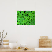 Poster USA, Californie, Jedediah Smith Rewood SP. (Cuisine)