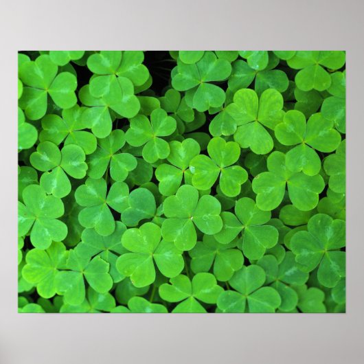 Poster USA, Californie, Jedediah Smith Rewood SP. (Devant)