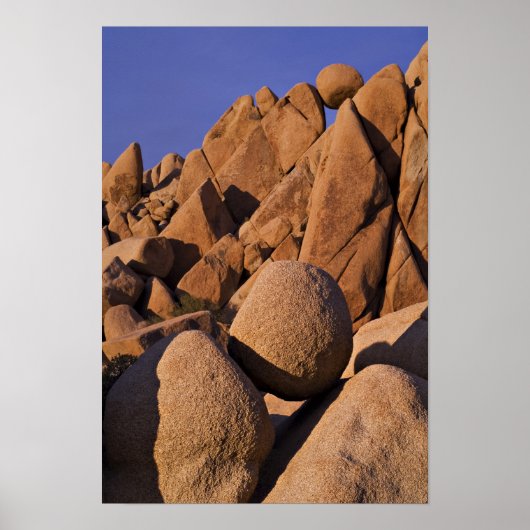 Poster USA, Californie, Parc national de Joshua Tree. (Devant)