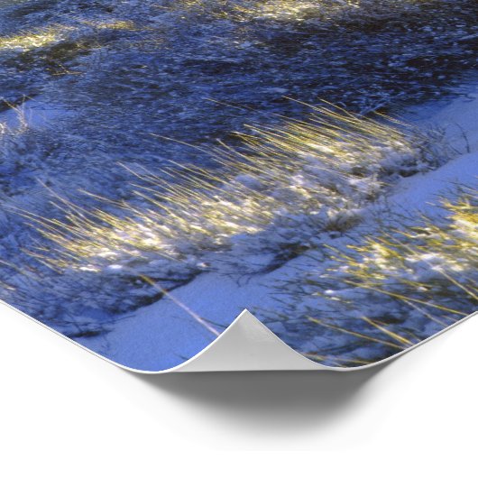 Poster USA, Californie, Parc national de Joshua Tree. 2 (Coin)