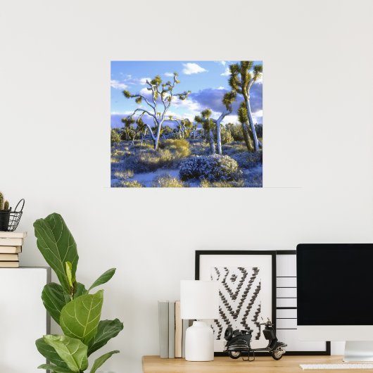 Poster USA, Californie, Parc national de Joshua Tree. 2 (Bureau à domicile)