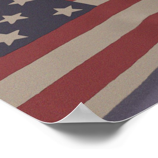 Poster USA Cat (Coin)