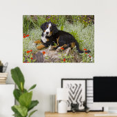 Poster USA, Colorado, Breckenridge. Bernese (Bureau à domicile)