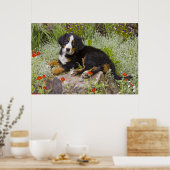 Poster USA, Colorado, Breckenridge. Bernese (Cuisine)