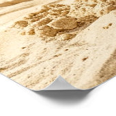 Poster USA Dream Girl 100 (Coin)