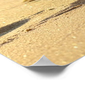 Poster USA Dream Girl 7 (Coin)