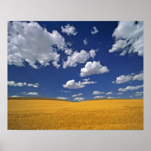 Poster USA, Etat de Washington, Colfax. Réunion d'orge mû (Devant)