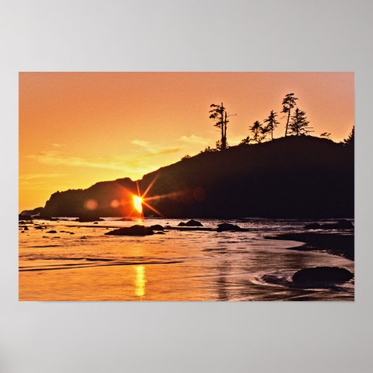 Poster USA, Etat de Washington, Parc National Olympique. (Devant)