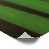 Poster USA, Géorgie. Dragonfly vert sur roseaux (Coin)