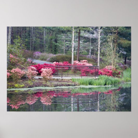 Poster USA, Géorgie, Pine Mountain. Affichage de la zone  (Devant)