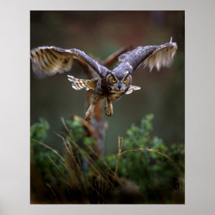 Poster USA, Géorgie, Pine Mountain, Callaway Gardens.