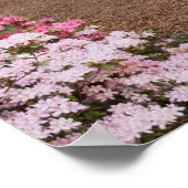 Poster USA, Géorgie, Pine Mountain. Un chemin à travers (Coin)