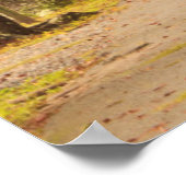 Poster USA, Géorgie, Savannah, Entrée Drive (Coin)