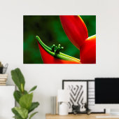 Poster USA, Hawaï, Hilo. Heliconia (Bureau à domicile)