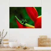 Poster USA, Hawaï, Hilo. Heliconia (Cuisine)