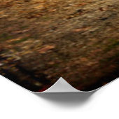 Poster USA, Indiana. Le musée ferroviaire North Mudson (Coin)