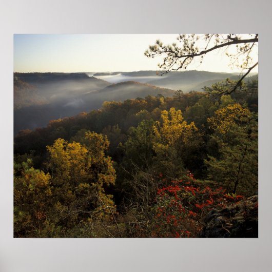 Poster USA, Kentucky. Forêt nationale Daniel Boone. (Devant)