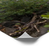 Poster USA - Kentucky. Les chutes Cumberland sur (Coin)