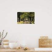 Poster USA, Kentucky, Lexington. allée bordée d'arbres (Cuisine)