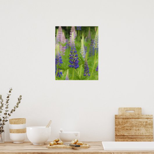 Poster USA, Maine, Parc national de l'Acadie. Champ (Cuisine)