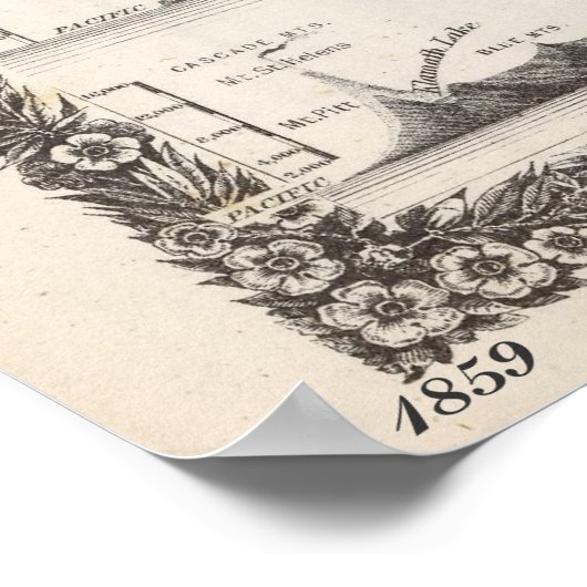 Poster USA Map 1859 (37"X30")USA Map 1859 37X30 (Coin)