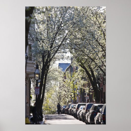 Poster USA, Massachusetts, Boston, Beacon Hill. (Devant)