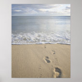 Poster USA, Massachusetts, Cape Cod, empreintes sur (Devant)