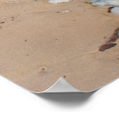 Poster USA, Michigan. Galets Le Long De 20 Km De Plage (Coin)