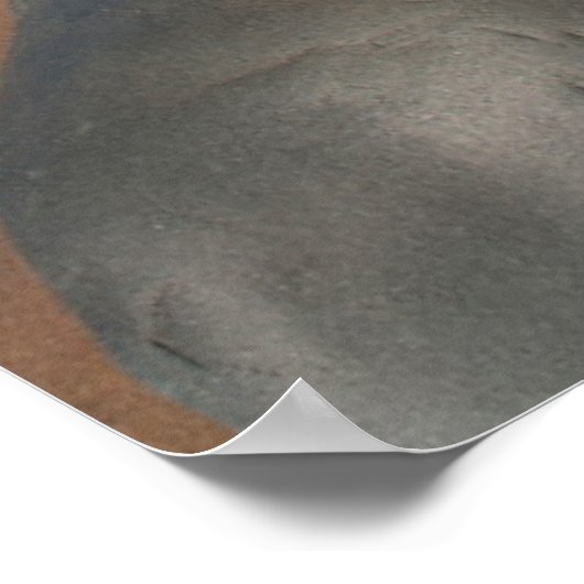 Poster USA, Michigan. Rounded Boulders (Coin)