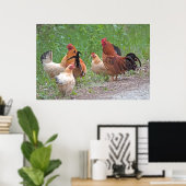 Poster USA, Nebraska. Chickens (homonymie) (Bureau à domicile)