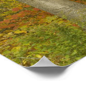 Poster USA, New Hampshire, Livermore, White Mountain (Coin)