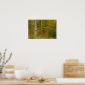 Poster USA, New Hampshire, Livermore, White Mountain (Cuisine)