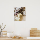 Poster USA, New Jersey, Jersey City, mignonne chiot 2 (Cuisine)