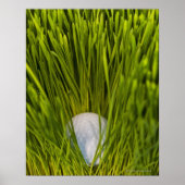 Poster USA, New Jersey, Jersey City, Vue rapprochée de (Devant)