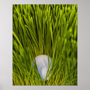 Poster USA, New Jersey, Jersey City, Vue rapprochée de