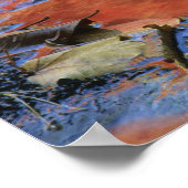 Poster USA, New York, Adirondacks, Feuilles tombés en (Coin)