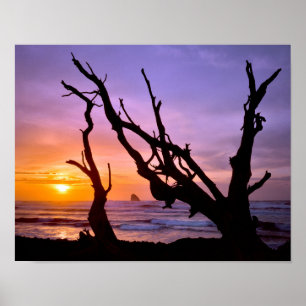Poster USA, Oregon, Cape Meares. Coucher du soleil