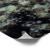 Poster USA, Oregon, Nepture SP. Mer aux tons bijoux (Coin)